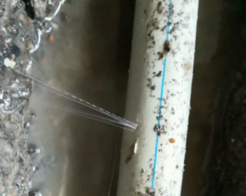 海沧卫生间测漏水多少钱