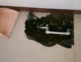 海沧卫生间测漏水多少钱